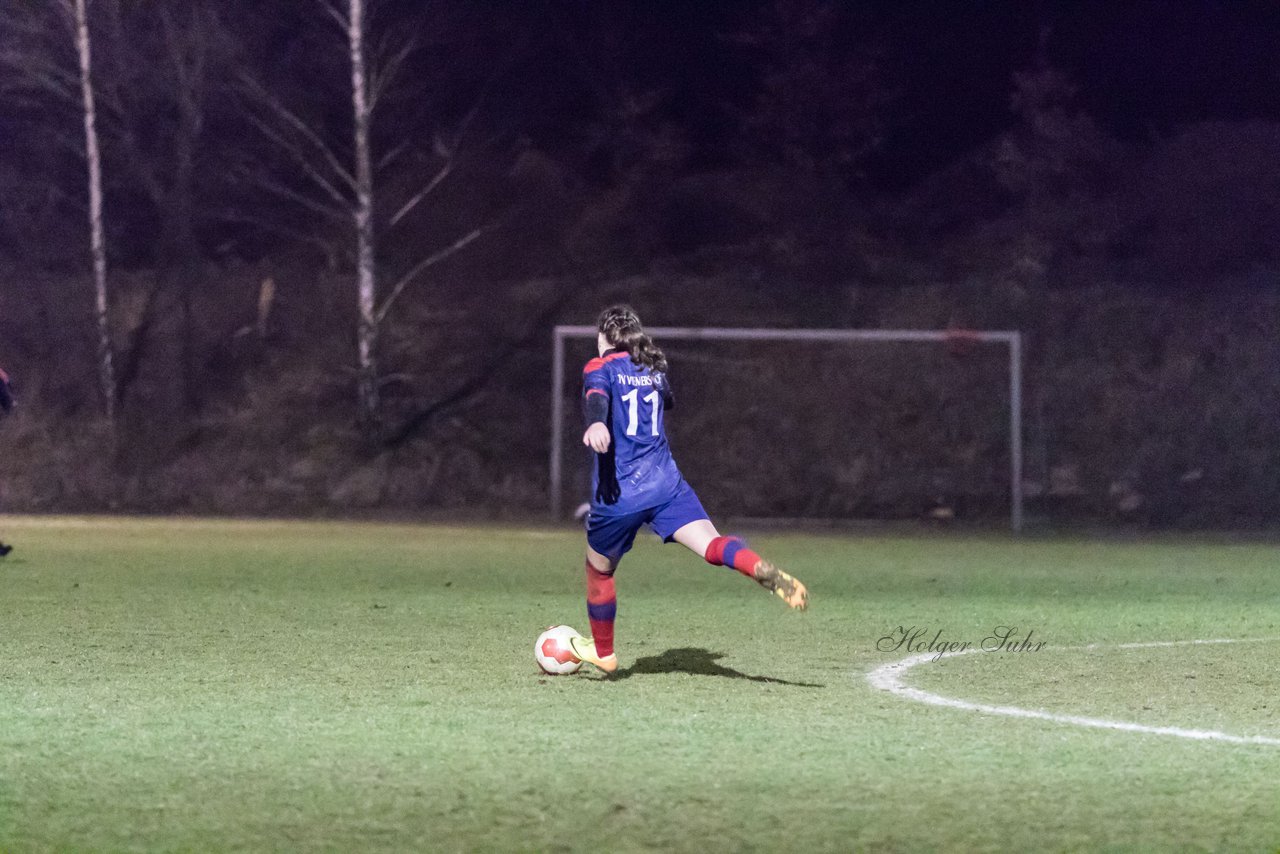 Bild 211 - Frauen TuS Tensfeld - TSV Wiemersdorf : Ergebnis: 1:1